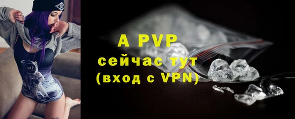 стаф Абинск