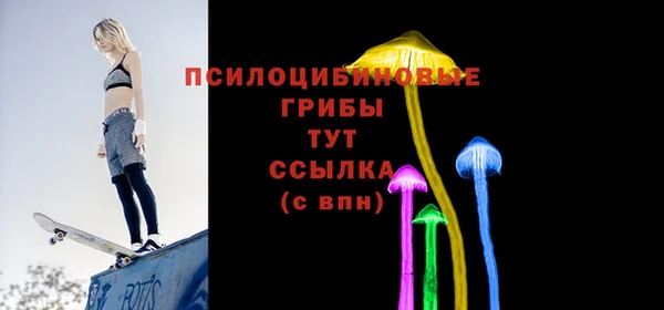 стаф Абинск