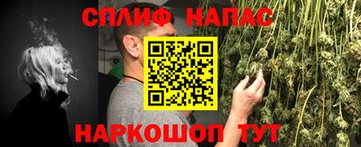 тгк Новокубанск