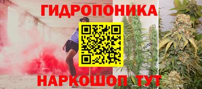 МДМА Новозыбков