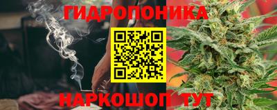 МДМА Новозыбков