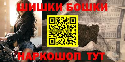 тгк Новокубанск