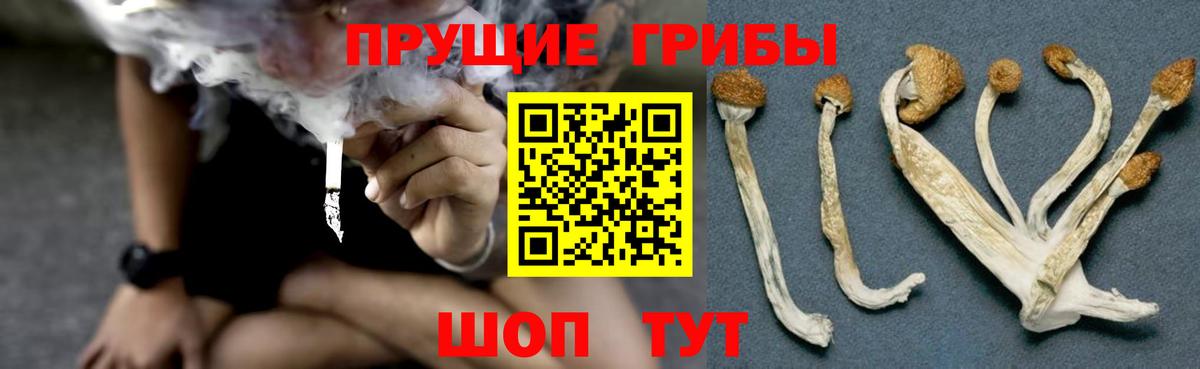 купить  сайты  Вход с VPN  Ярославль  Галлюциногенные грибы прущие грибы 